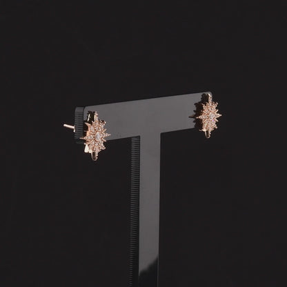 360-degree video of the natural diamond starburst stud earrings in 14K rose gold
