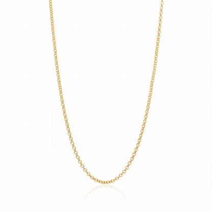 Rolo chain necklace in 18K gold, 2.5 mm round link chain on white background