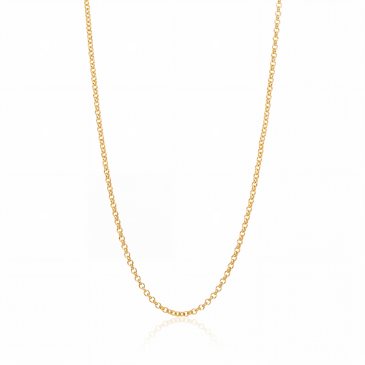 Rolo chain necklace in 18K gold, 2.5 mm round link chain on white background